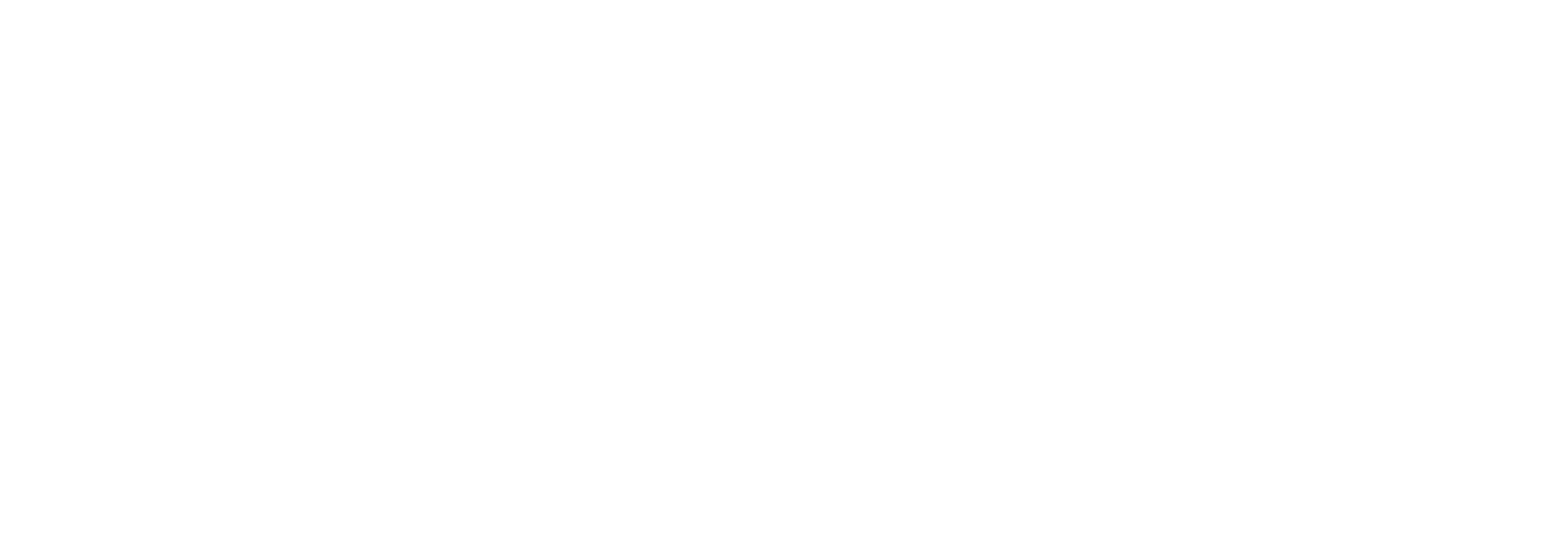 Virtus Conseil